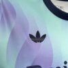 Arsenal 24/25 Third Kit